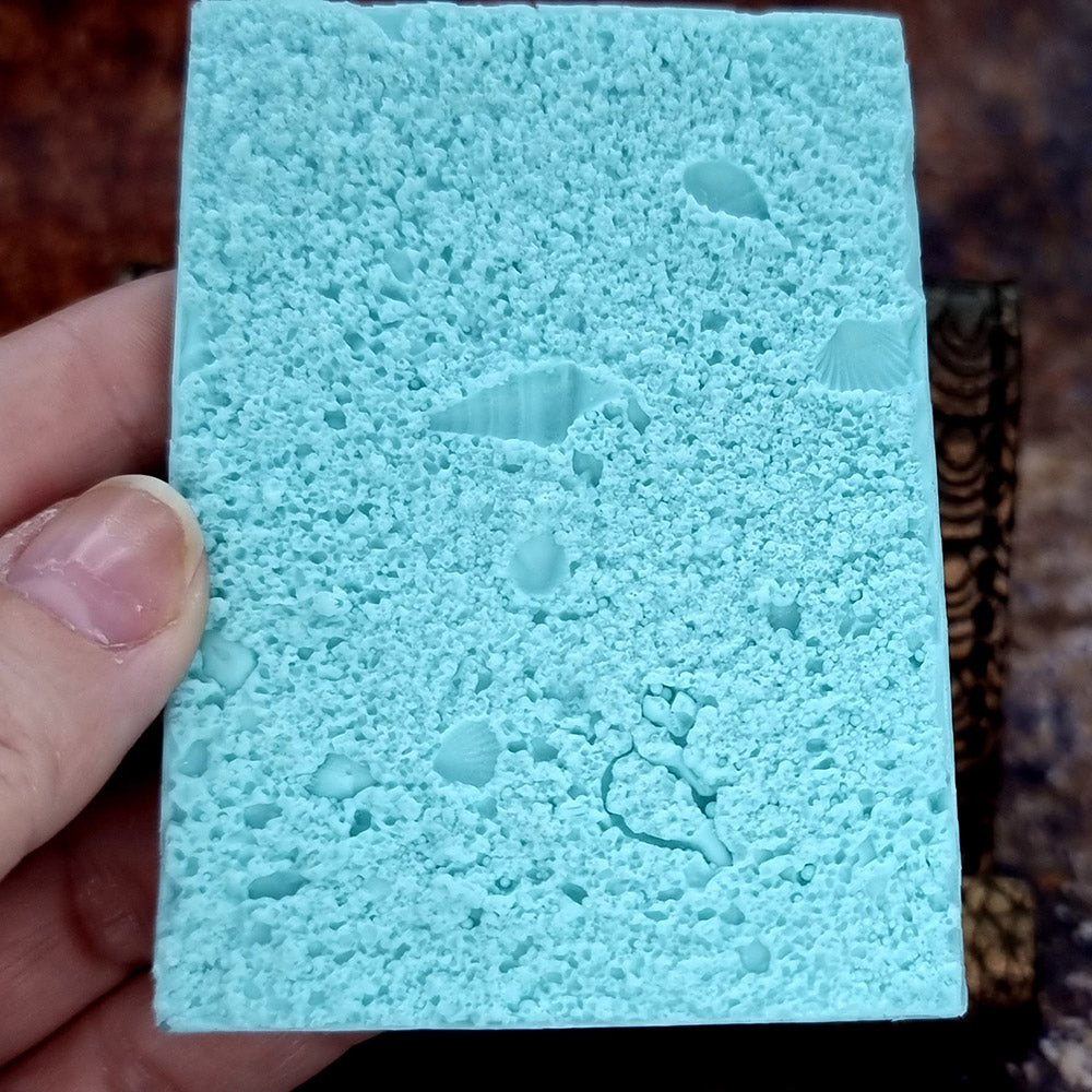 Silicone Texture - Real Sand and Shells on the Beach