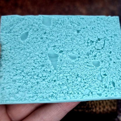 Silicone Texture - Real Sand and Shells on the Beach