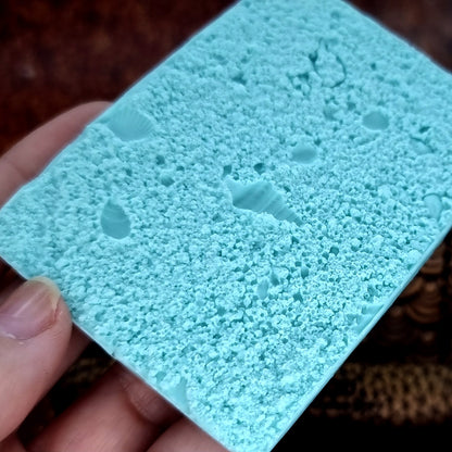 Silicone Texture - Real Sand and Shells on the Beach