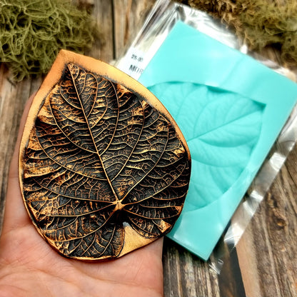 Silicone Texture - Morning Glory Leaf