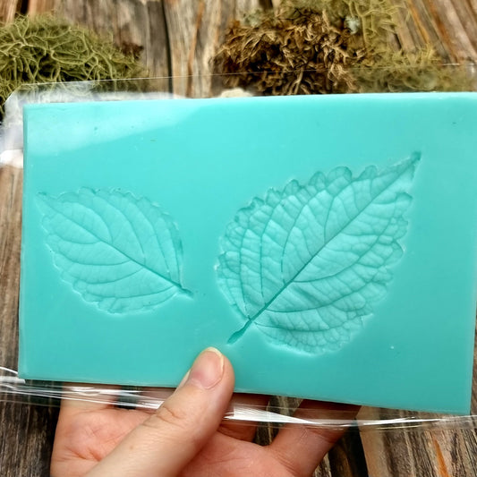 Silicone Texture - A Pair of Perilla Blumei Leaf