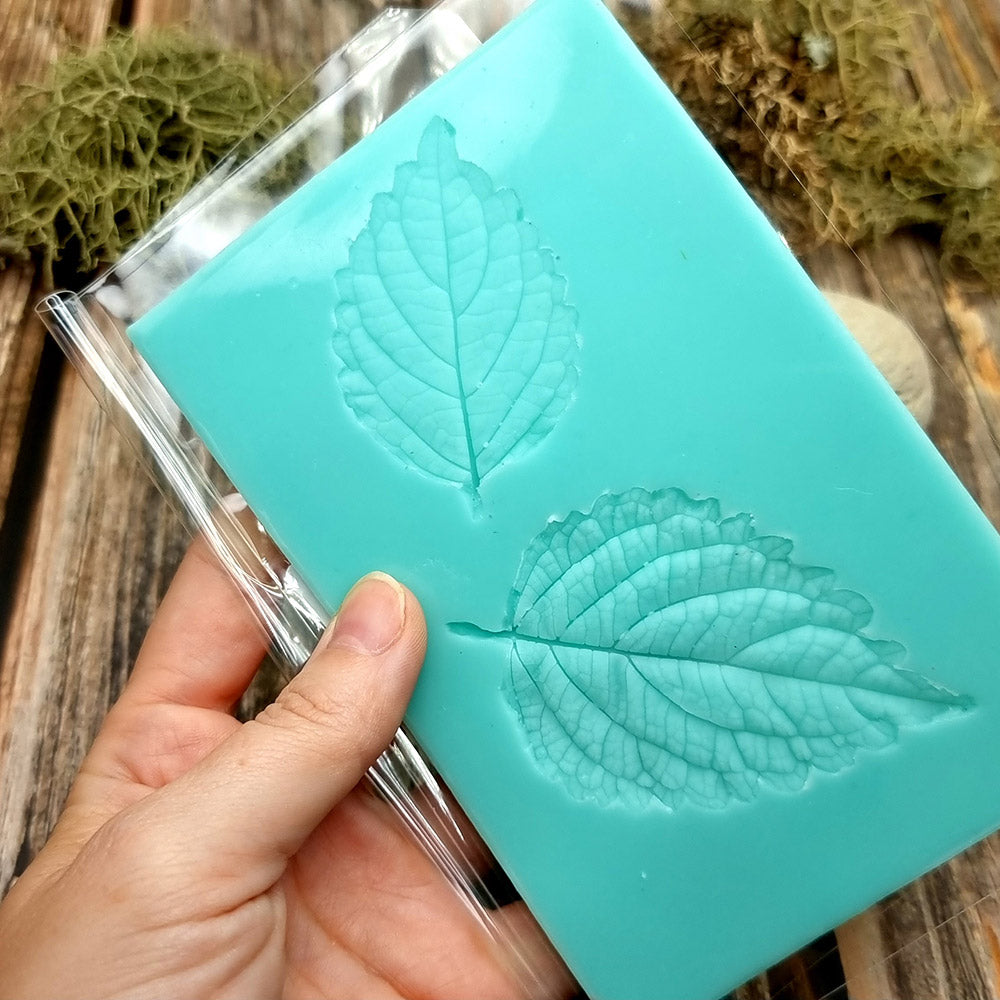 Silicone Texture - A Pair of Perilla Blumei Leaf