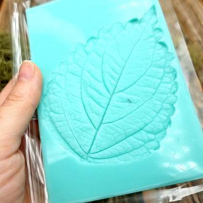 Silicone Texture - Perilla Blumei Leaf #2