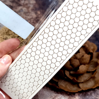 Honey Comb Mold