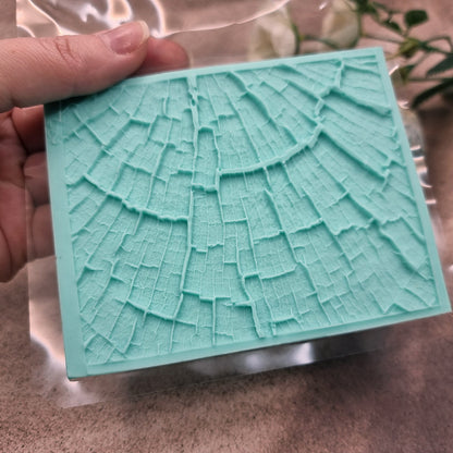 Silicone Texture - Cracked Wood