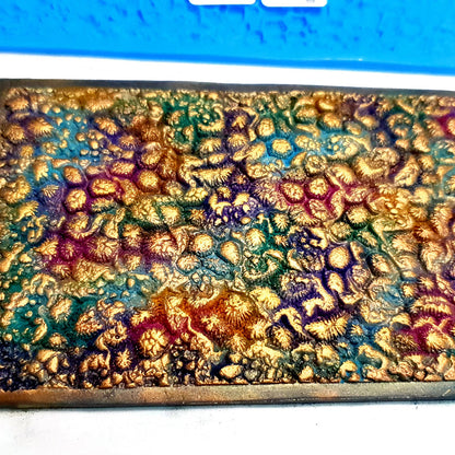 The Coral Reef - Silicone Texture