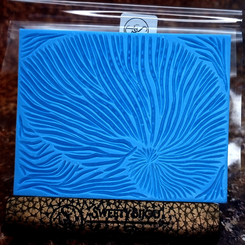 Nautilus Shell