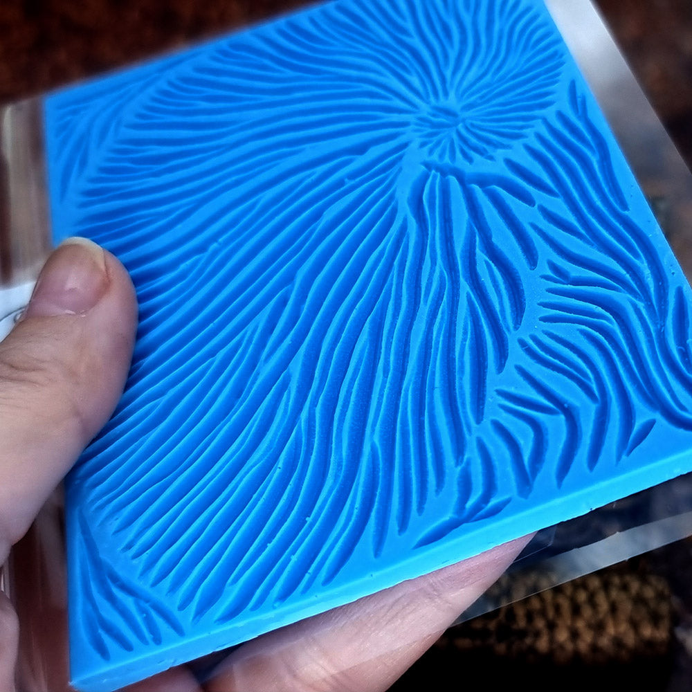 Nautilus Shell