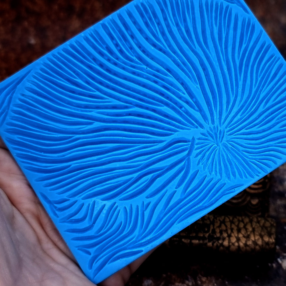 Nautilus Shell