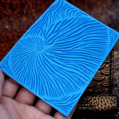 Nautilus Shell
