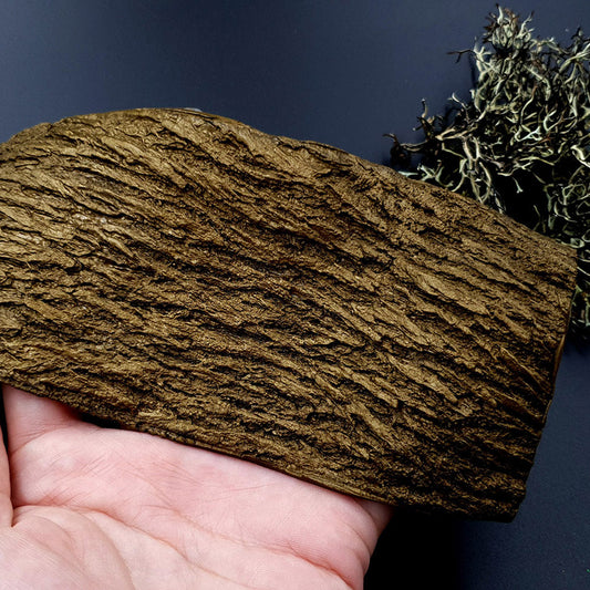 Silicone Texture - Bark of Thai Pine Tree #2