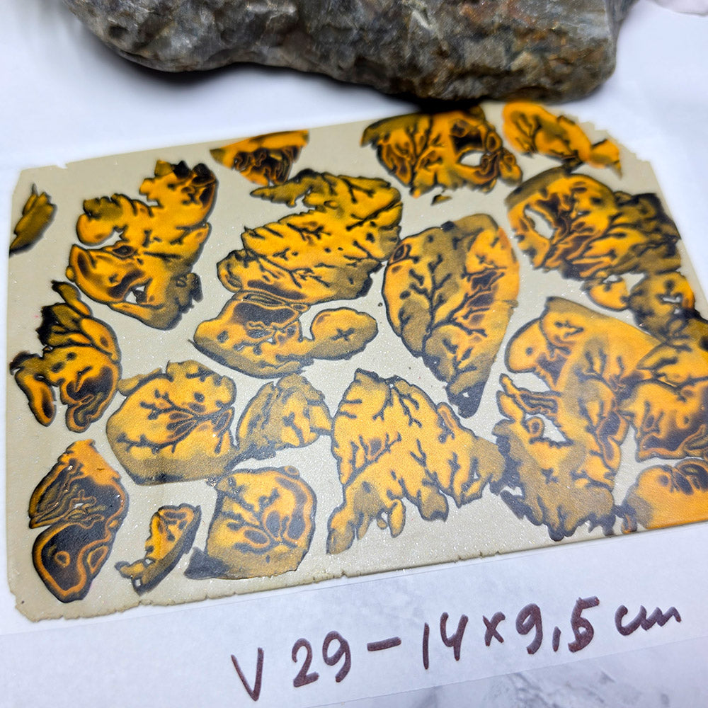Raw polymer clay veneer sheet, Autumn Forest Leaves