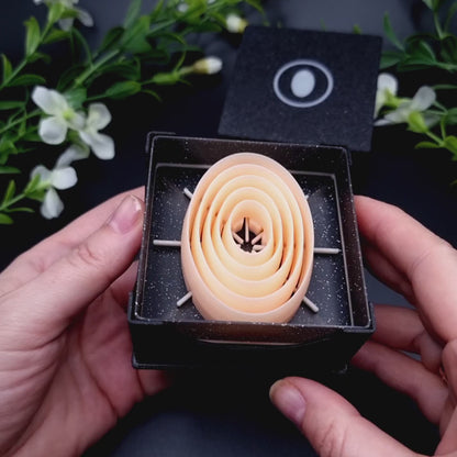 5 Oval Cutters in Set - Perfectly Aligned Cutters #13