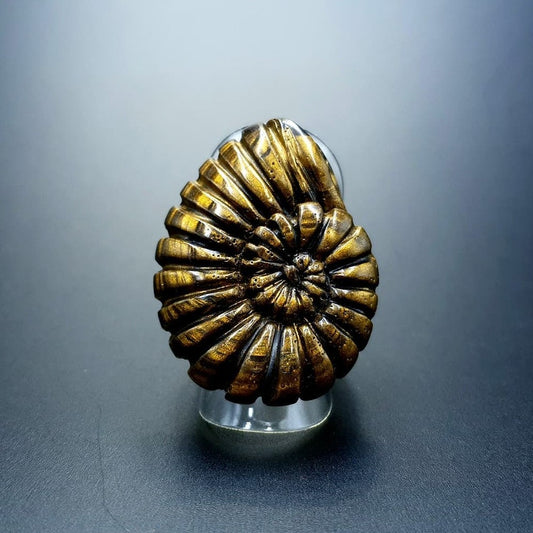 "Ammonite" Ring Ring SweetyBijou Jewelry Default Title  