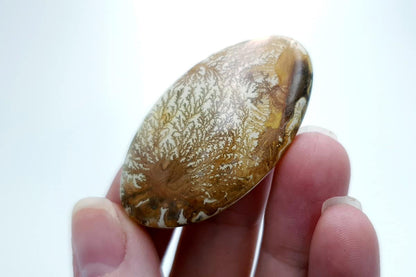 4 cabochons Faux Dendritic Agate #2 Cabochons SweetyBijou Cabochons   