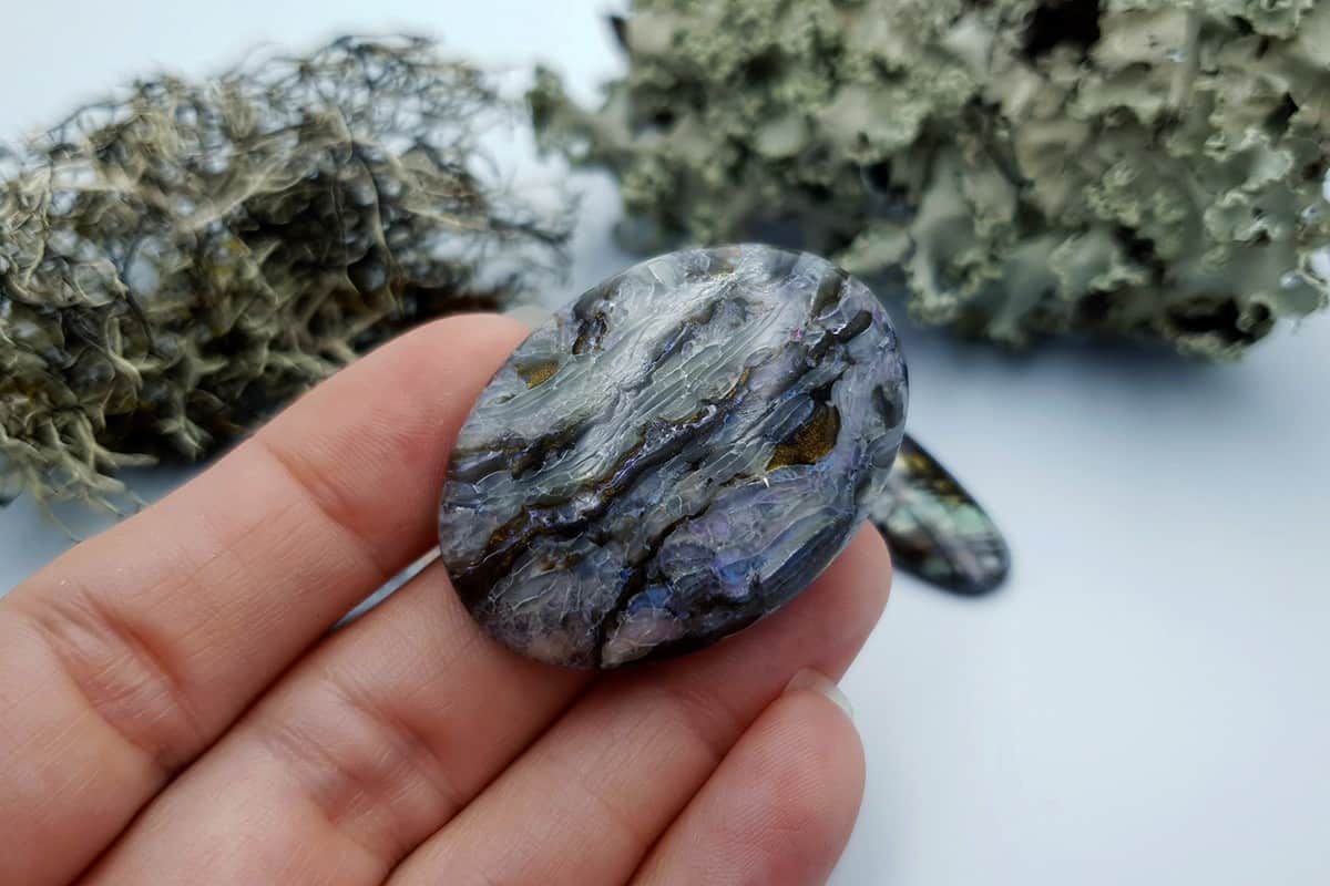 3 pcs Labradorite Pietersite Stone Mix (Set #7) Cabochons SweetyBijou Cabochons   