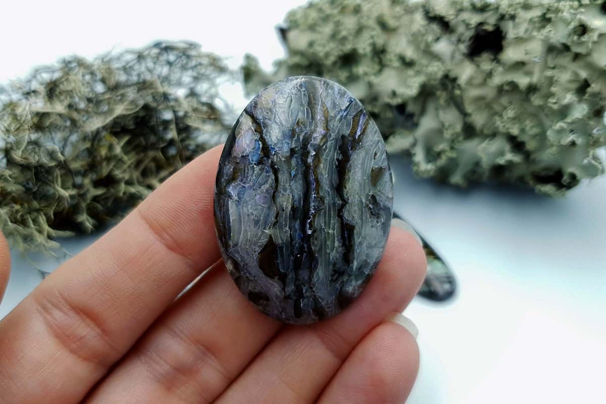 3 pcs Labradorite Pietersite Stone Mix (Set #7) Cabochons SweetyBijou Cabochons   