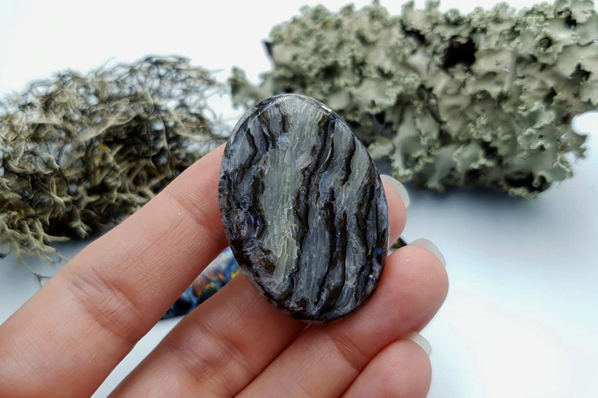 3 pcs Labradorite Pietersite Stone Mix (Set #7) Cabochons SweetyBijou Cabochons   