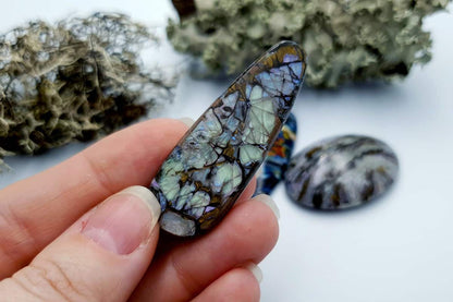 3 pcs Labradorite Pietersite Stone Mix (Set #7) Cabochons SweetyBijou Cabochons   