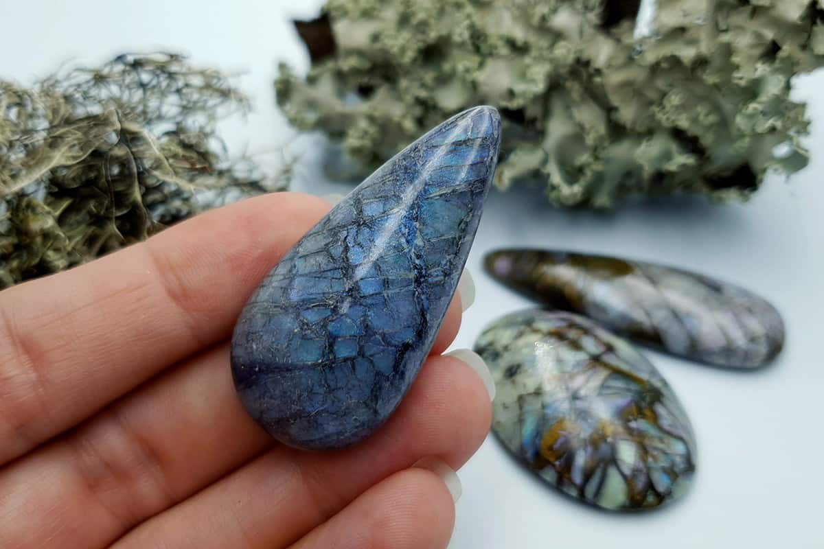 4 pcs Labradorite Pietersite Stone Mix (Set #9) Cabochons SweetyBijou Cabochons   