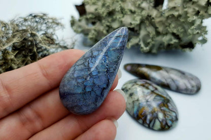 4 pcs Labradorite Pietersite Stone Mix (Set #9) Cabochons SweetyBijou Cabochons   