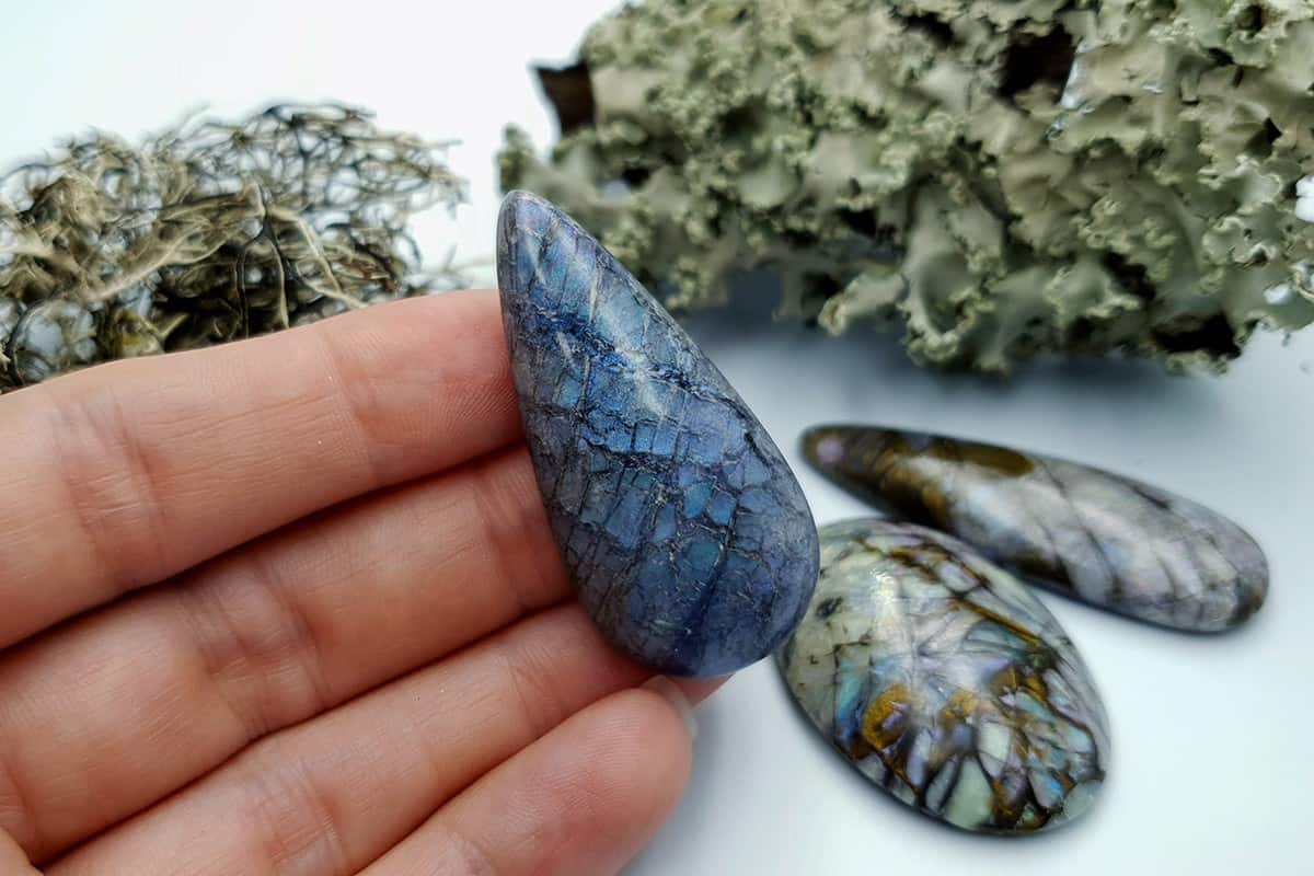 4 pcs Labradorite Pietersite Stone Mix (Set #9) Cabochons SweetyBijou Cabochons   