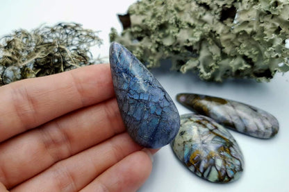 4 pcs Labradorite Pietersite Stone Mix (Set #9) Cabochons SweetyBijou Cabochons   