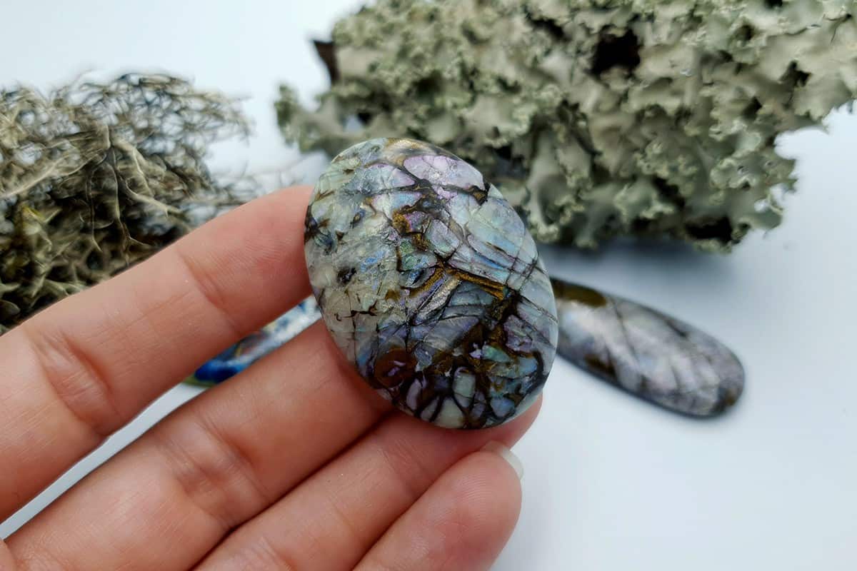 4 pcs Labradorite Pietersite Stone Mix (Set #9) Cabochons SweetyBijou Cabochons   