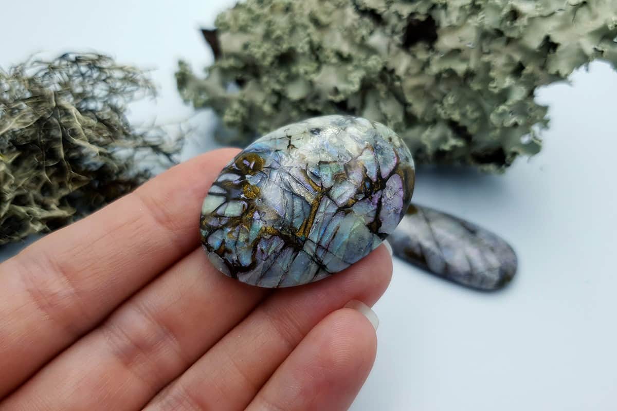 4 pcs Labradorite Pietersite Stone Mix (Set #9) Cabochons SweetyBijou Cabochons   