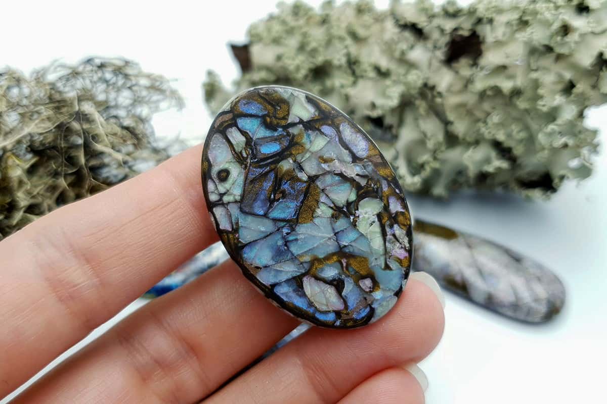4 pcs Labradorite Pietersite Stone Mix (Set #9) Cabochons SweetyBijou Cabochons   