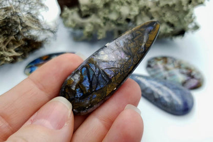 4 pcs Labradorite Pietersite Stone Mix (Set #9) Cabochons SweetyBijou Cabochons   
