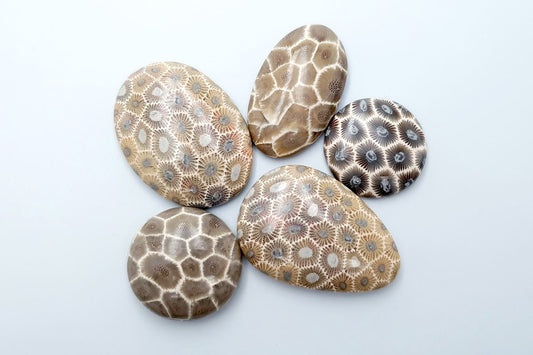 5 cabochons, Faux Petoskey Stone, Polymer Clay (#1) Cabochons SweetyBijou Cabochons Default Title  