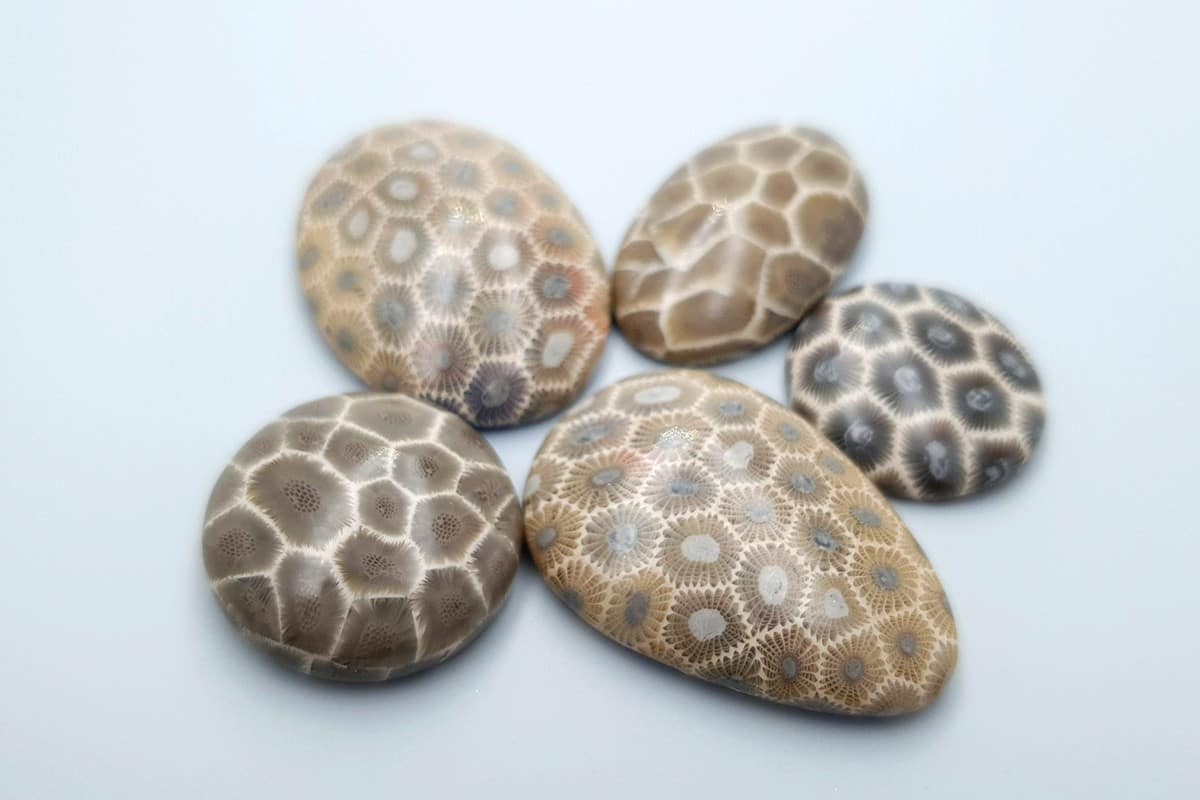 5 cabochons, Faux Petoskey Stone, Polymer Clay (#1) Cabochons SweetyBijou Cabochons   
