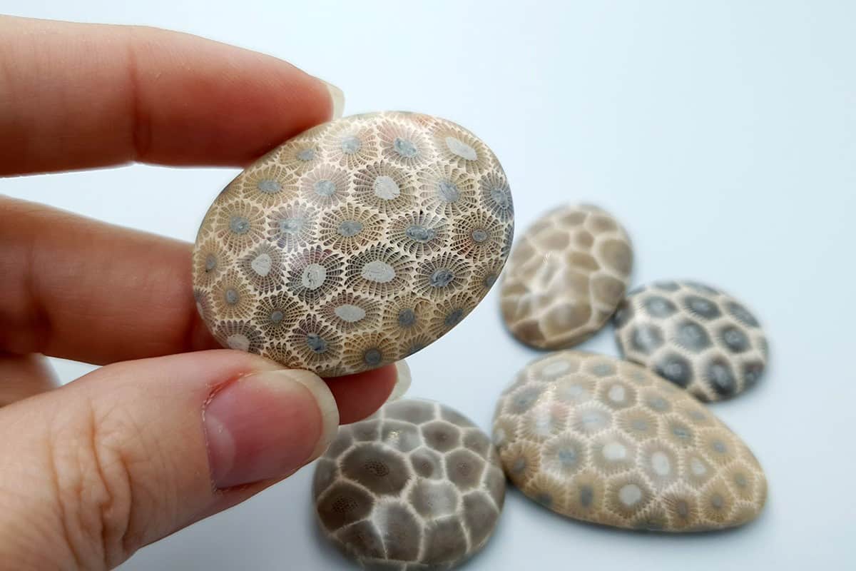 5 cabochons, Faux Petoskey Stone, Polymer Clay (#1) Cabochons SweetyBijou Cabochons   