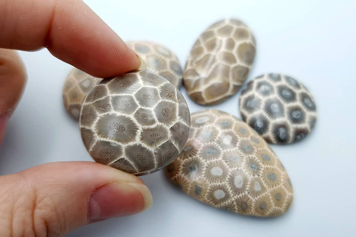 5 cabochons, Faux Petoskey Stone, Polymer Clay (#1) Cabochons SweetyBijou Cabochons   