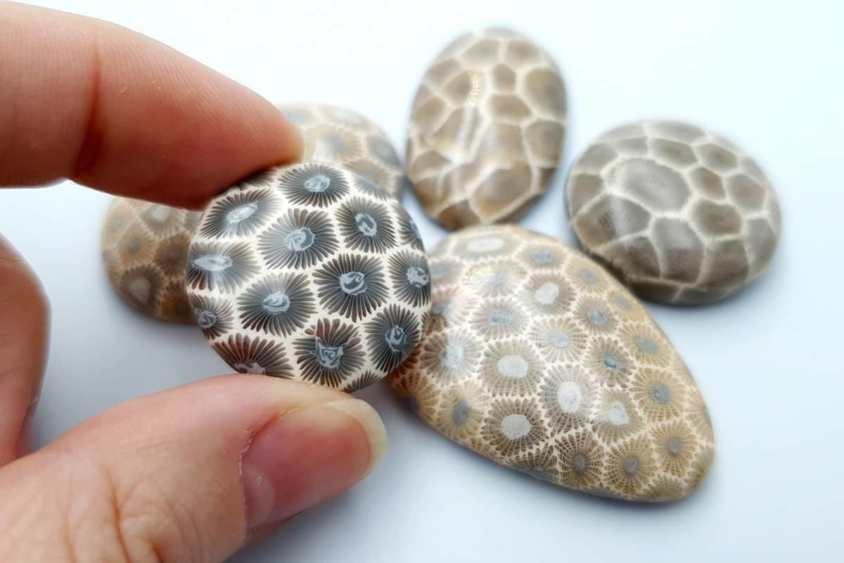 5 cabochons, Faux Petoskey Stone, Polymer Clay (#1) Cabochons SweetyBijou Cabochons   