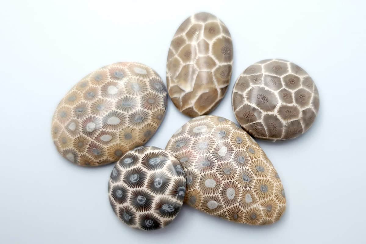 5 cabochons, Faux Petoskey Stone, Polymer Clay (#1) Cabochons SweetyBijou Cabochons   