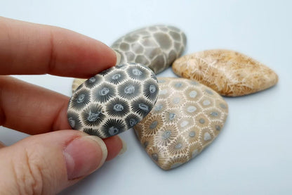 5 cabochons, Faux Petoskey Stone, Polymer Clay (#2) Cabochons SweetyBijou Cabochons   
