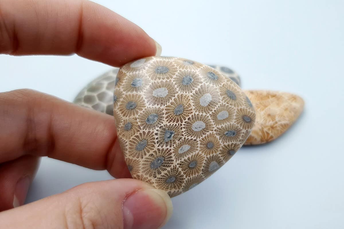 5 cabochons, Faux Petoskey Stone, Polymer Clay (#2) Cabochons SweetyBijou Cabochons   