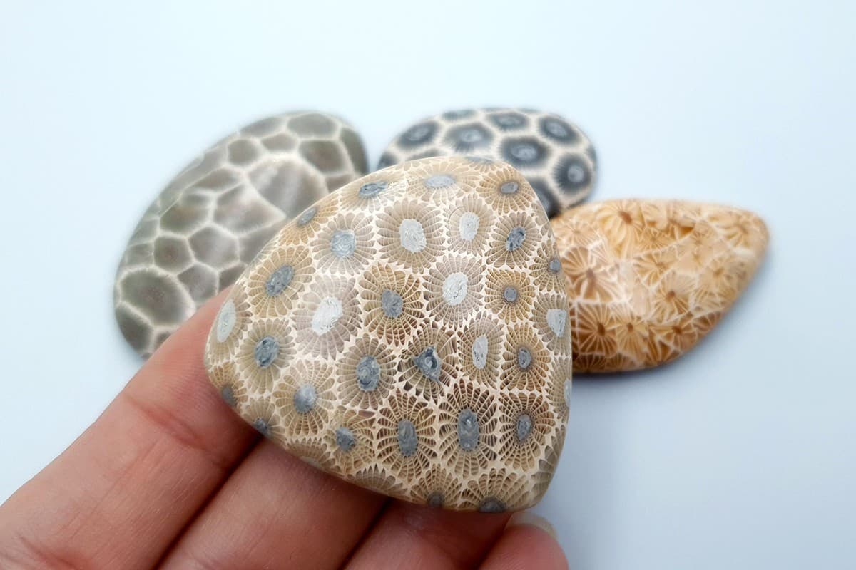 5 cabochons, Faux Petoskey Stone, Polymer Clay (#2) Cabochons SweetyBijou Cabochons   