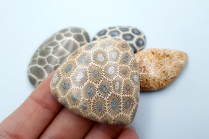 5 cabochons, Faux Petoskey Stone, Polymer Clay (#2) Cabochons SweetyBijou Cabochons   
