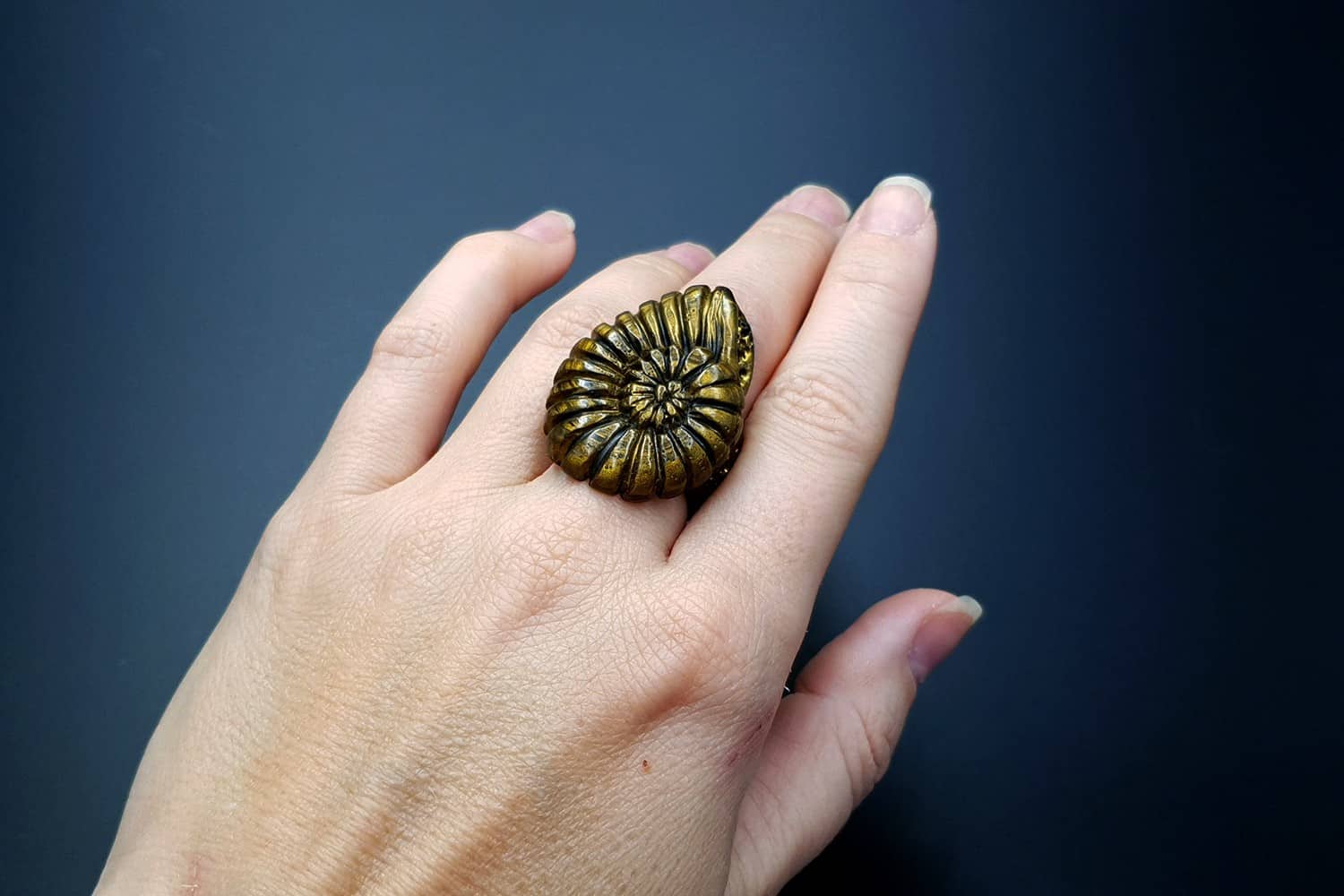 "Ammonite" Ring (2061)