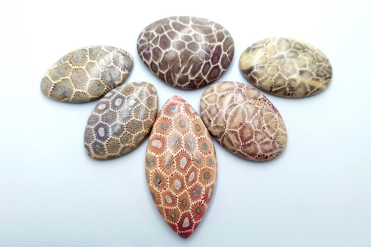 6 cabochons Faux Petoskey Stone from Polymer Clay (6770)