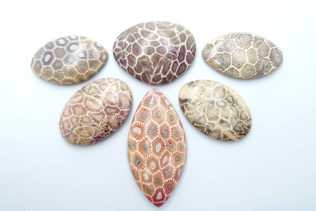 6 cabochons Faux Petoskey Stone from Polymer Clay (6771)