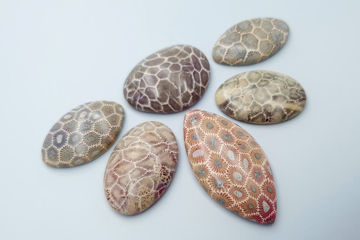 6 cabochons Faux Petoskey Stone from Polymer Clay (6773)