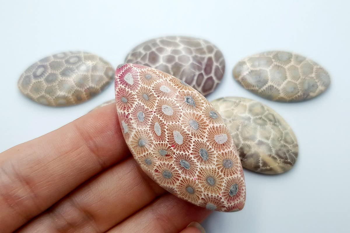 6 cabochons Faux Petoskey Stone from Polymer Clay (6775)