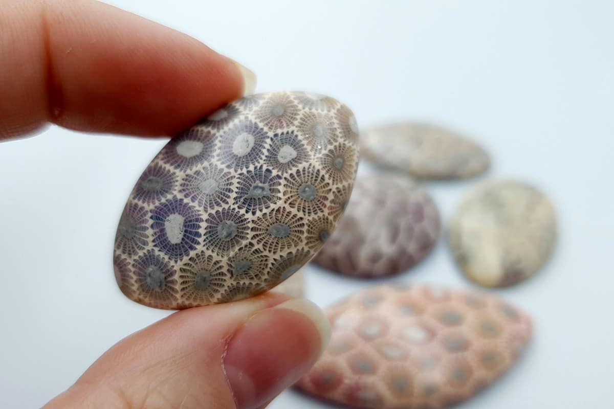 6 cabochons Faux Petoskey Stone from Polymer Clay (6777)