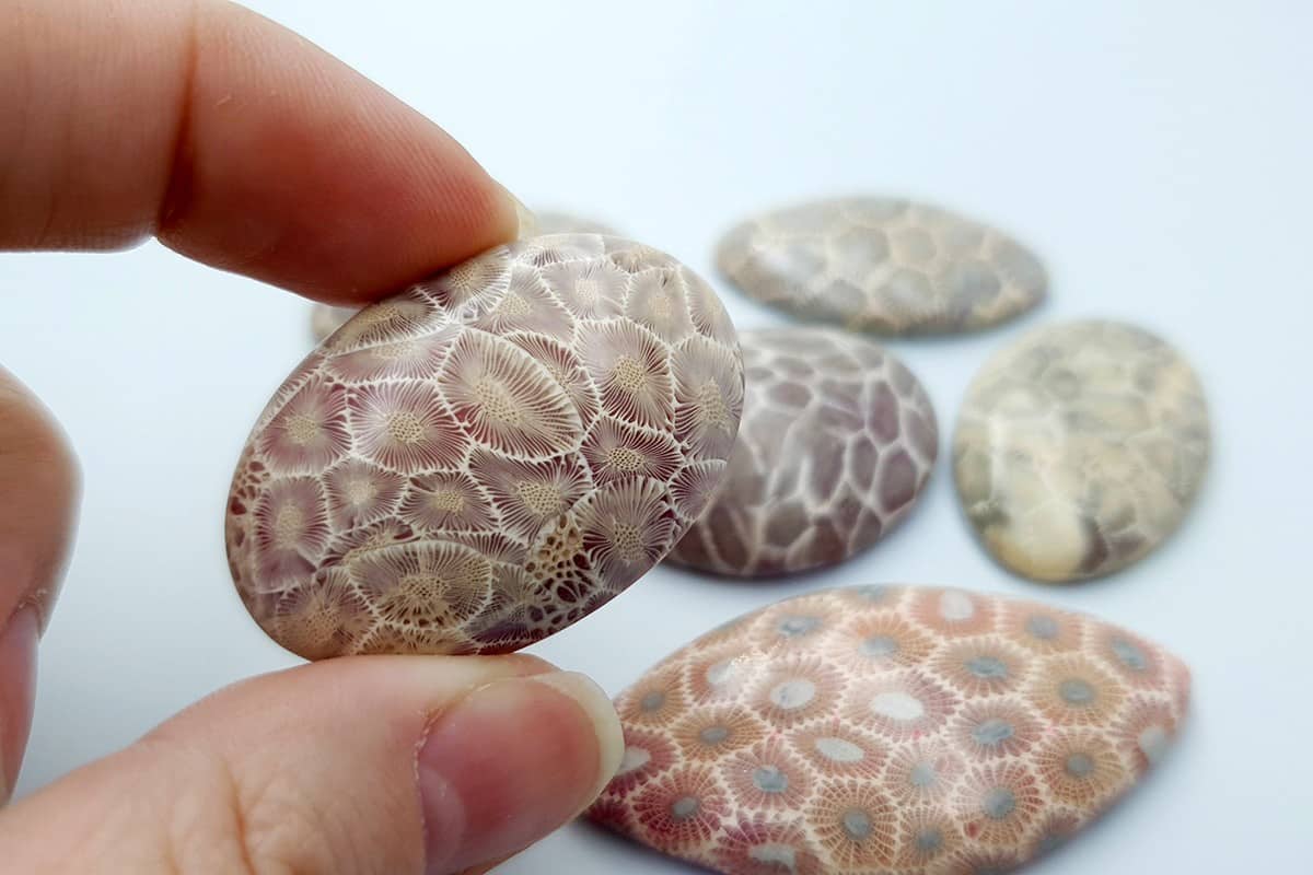 6 cabochons Faux Petoskey Stone from Polymer Clay (6778)