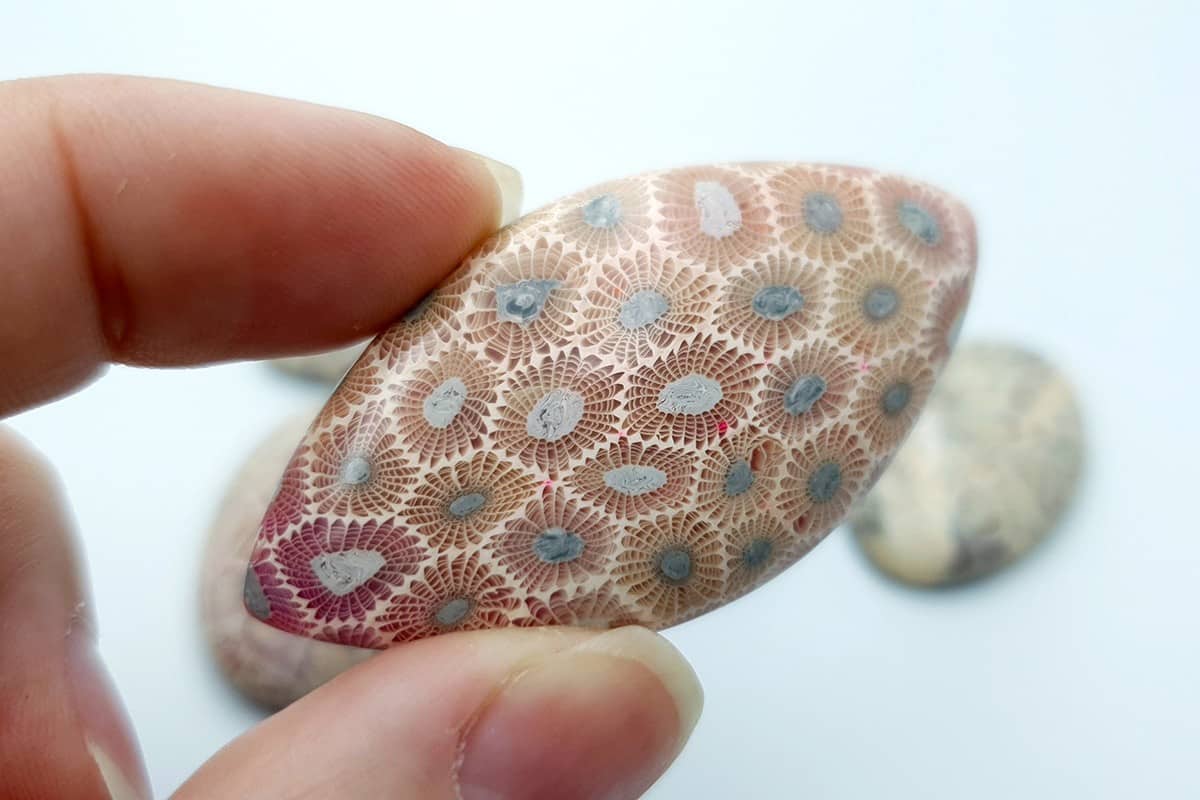6 cabochons Faux Petoskey Stone from Polymer Clay (6779)