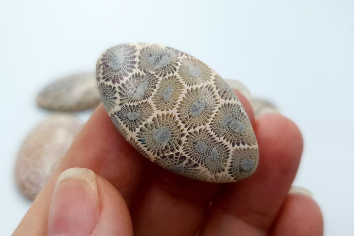 6 cabochons Faux Petoskey Stone from Polymer Clay (6780)